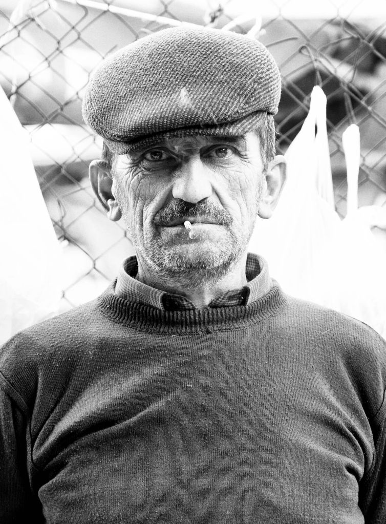 DSC00428-DxO_DeepPRIME 3-Editar-2